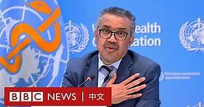 世衛總幹事譚德塞：中國「清零」防疫政策不可持續 － BBC News 中文