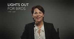 Lili Taylor - Lights Out for Birds