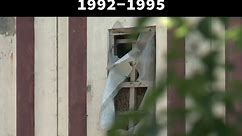 Bosna 1992-1995 🇧🇦⚜️. #fy #fypシ #fyp #bosna #bosna_i_hercegovina #bosnaihercegovina #bosnia #bosnian #srebrenica #srebrenicagenocid #bih #balkan