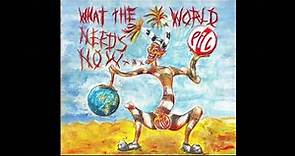 PiL (Public Image Limited) - What The World Needs Now (Full Album)