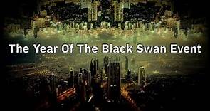 Welcome To 2024: The Year Of The Black Swan Event