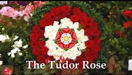 The Tudor Rose