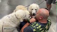 We had a great visit at Lowe's Home... - Carefree Goldens