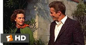 Rebel Without a Cause (1955) - I Go With the Kids Scene (4/10) | Movieclips