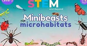 Minibeasts Microhabitats | Science For Kids | STEM Home learning