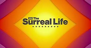 VH1's The Surreal Life Revival: An Updated Cast List, Including Dennis Rodman