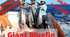Part 1 Full Day Giant Bluefin Tuna Grande Sportfishing H&M Landing Point Loma San Diego Ca San Diego
