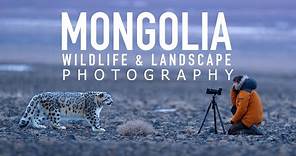 Photographing Snow Leopards & Landscapes in Mongolia