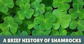 A Brief History About The Shamrock! 🍀
