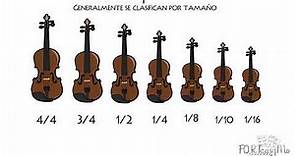 EL VIOLÍN Clasificación y evolución 🎻 - Cómo se clasifican los violines?