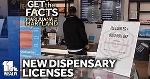 Who will get new cannabis dispensary licenses in Maryland?