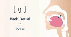[ ŋ ] voiced back dorsal velar nasal stop