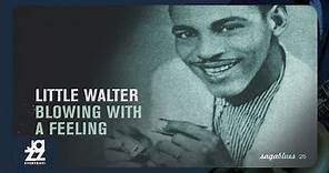 Little Walter, Jimmy Rogers - That's Alright