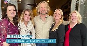 Where Christine, Janelle, Robyn and Meri Brown Stand After 3 'Sister Wives' Women Split from Kody