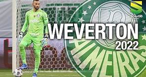 Weverton - Defesas Incríveis pelo Palmeiras | 2022 HD