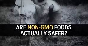 Are GMO foods safe to eat?