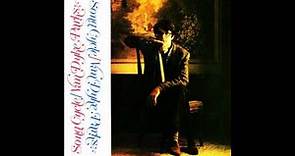 Van Dyke Parks - Public Domain