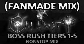 Terraria: Calamity Mod | Boss Rush Tiers 1-5 (Nonstop Fanmade Mix)