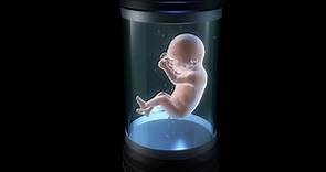 科學家提爭議發明：人工子宮一年可「孵化」30萬胎兒、不再有基因缺陷
