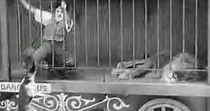Charlie Chaplin El circo de 1928