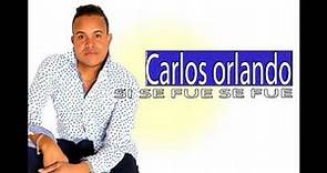Carlos orlando - Si se fue se fue