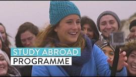Life as an international student | University of Brighton