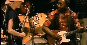 Muddy Waters feat. Johnny Winter - Chicago Fest 1981