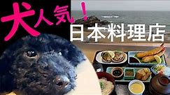 地魚料理店翁（おきな）犬と行ける日本料理♪愛知県知多郡☆ぐっさん家も来店した人気店！