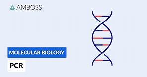 Polymerase Chain Reaction (PCR): DNA Amplification