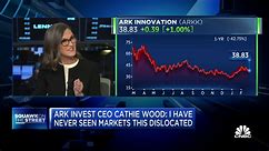 Watch CNBC's full interview with ARK Invest CEO Cathie Wood