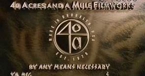 40 Acres and a Mule Filmworks (1995)