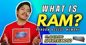 What is RAM? ft. ADATA XPG Spectrix D50 ROG RGB DDR4 Memory