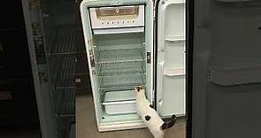 My 1952 International Harvester Refrigerator!
