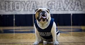 Georgetown mascot ‘Jack the Bulldog’ dies after brief illness