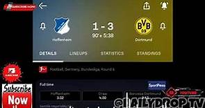 Julian Ryerson, Hoffenheim vs Borussia Dortmund Game Continue