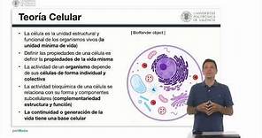 Generalidades de la célula y la membrana plasmática | 1/60 | UPV