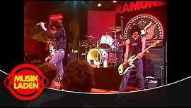 Ramones - Needles And Pins (1978) | LIVE