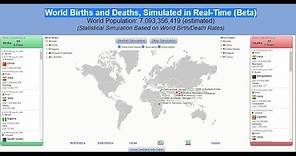 World Births and Deaths, Simulated in Real-Time