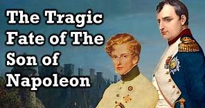 What Happened To Napoleon's Son?