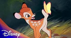 Bambi 80th Anniversary Compilation