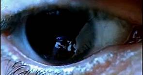 Occhi di cristallo (Trailer HD)