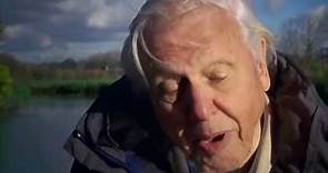David Attenborough Rise of Animals Triumph of the Vertebrates HD