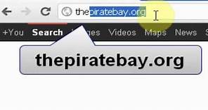 How To Download Torrents From The Pirate Bay