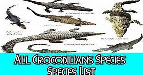 All Crocodilians Species - Species List