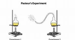 Pasteur's Experiment