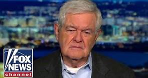 Newt Gingrich: We have a totalitarian left