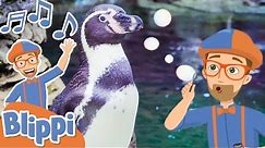Blippi Penguin Song | Educational Songs For Kids
