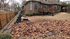 leaf removal time lapse - leaf clean up with blower- [relaxing time lapse] - (START TO FINISH)