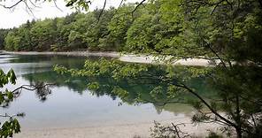Reflect on Thoreau’s Vision of Walden Pond