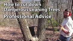 Cutting Down Dangerous Trees - Professional Advice